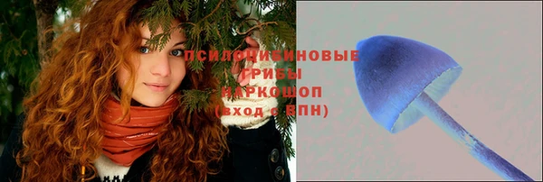 прущие крисы Богородск