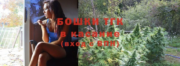 гидропоника Богданович