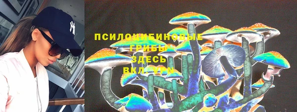 герыч Богородицк