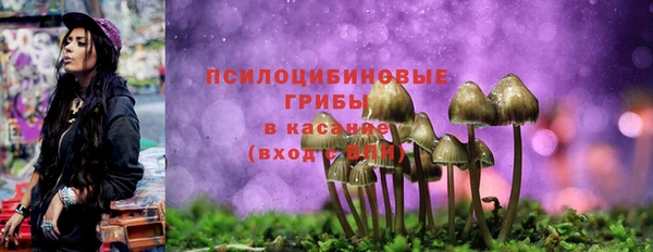 ECSTASY Белоозёрский