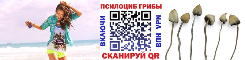 Псилоцибиновые грибы мицелий  что такое наркотик  Надым 