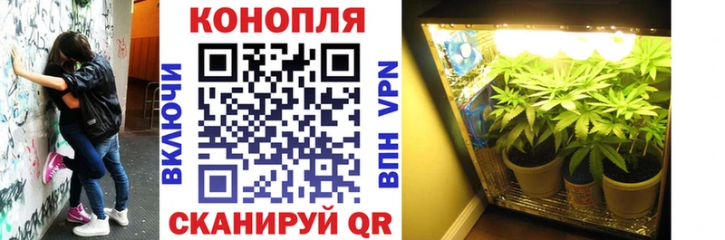 Каннабис AK-47  Надым 